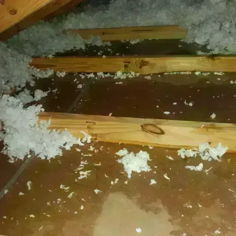 Attic Water Damage in Napa County, CA