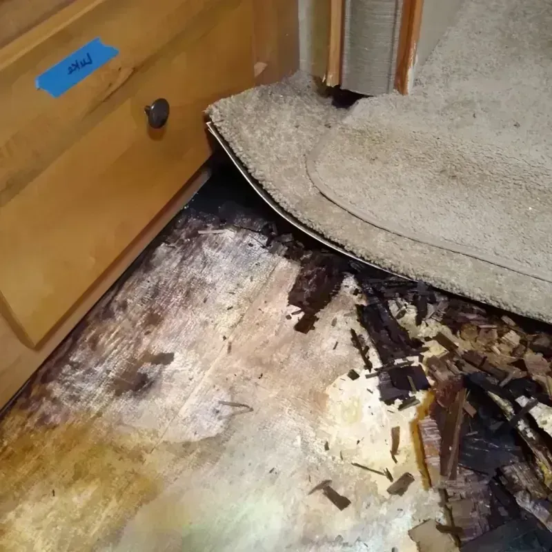 Wood Floor Water Damage in Napa County, CA